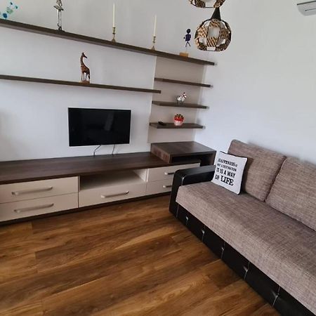 Apartament Mirubias Apartment Brasov Exterior photo
